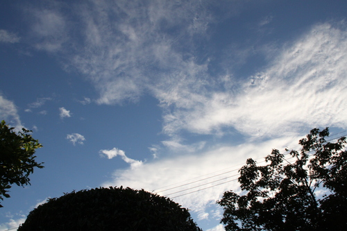 b0224178_21592481.jpg