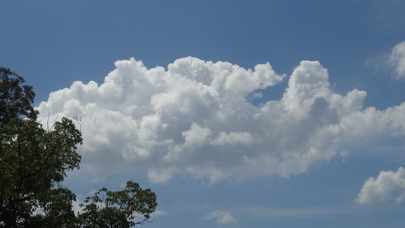 e0253183_15525894.jpg