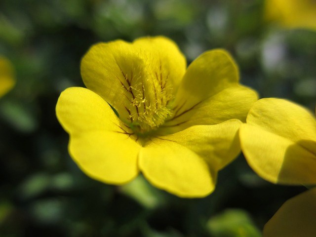 b0182884_34063.jpg