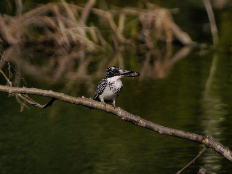 M川　I川_b0203989_2025176.jpg