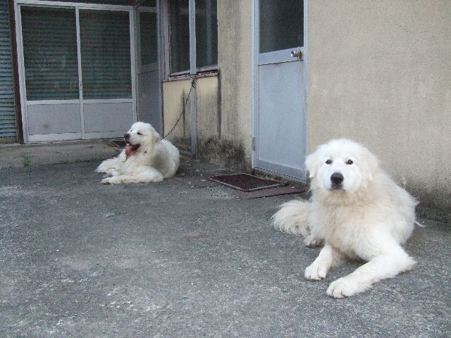 c0214089_12505564.jpg