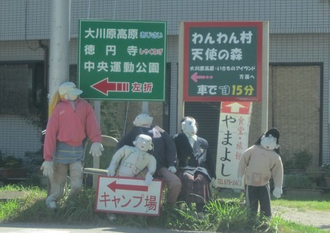 大川原高原の風車とあじさい_c0078592_1943189.jpg