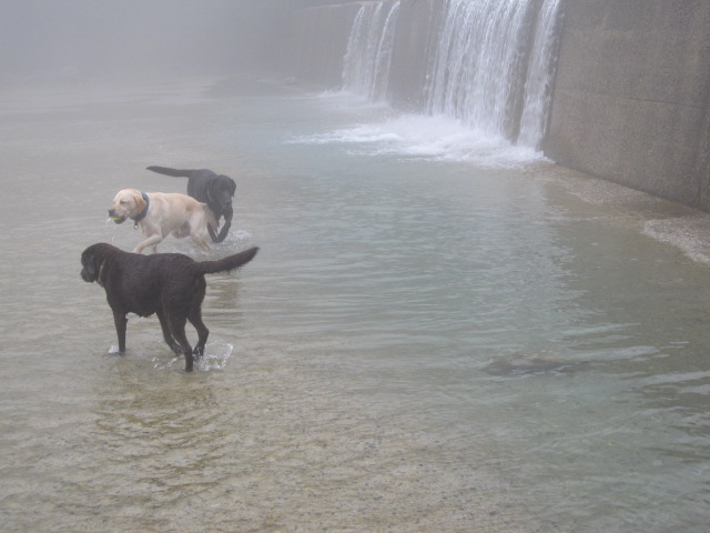 犬旅：秘境ツアー（あぁ~４WDでよかったぁ～）_b0249296_5563374.jpg