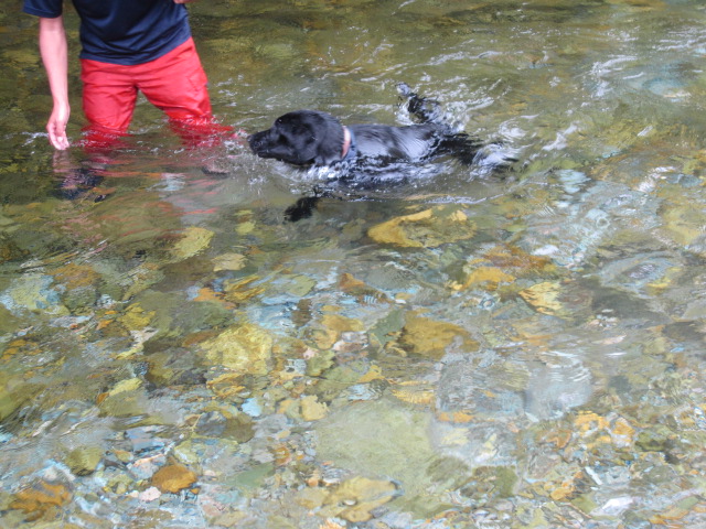 犬旅：秘境ツアー（あぁ~４WDでよかったぁ～）_b0249296_69271.jpg