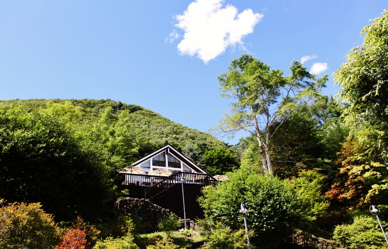 軽井沢ベルンの森_b0083801_2415280.jpg