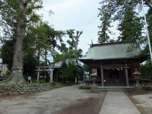 f0120102_8143973.jpg