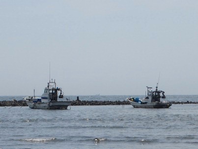 光明寺のハスと材木座・由比ヶ浜海岸(2012.07.18)_e0245404_1821966.jpg