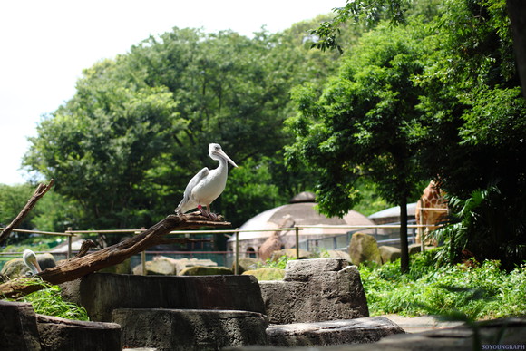 e0262305_0464219.jpg