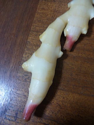 新ショウガをいただいて!_a0136507_1747716.jpg
