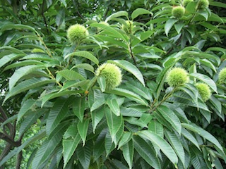e0271409_2142059.jpg