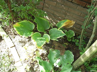 e0271409_219848.jpg