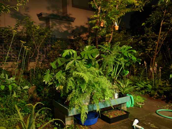 e0276411_01349.jpg