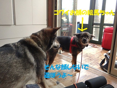 f0121712_12402229.jpg