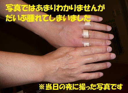 f0121712_15305159.jpg