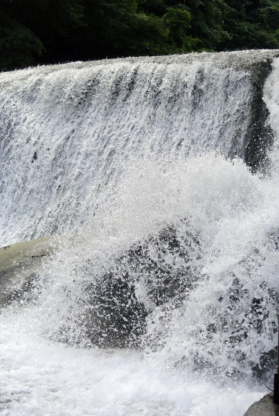 d0179113_1764.jpg