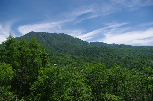 d0102327_2325559.jpg