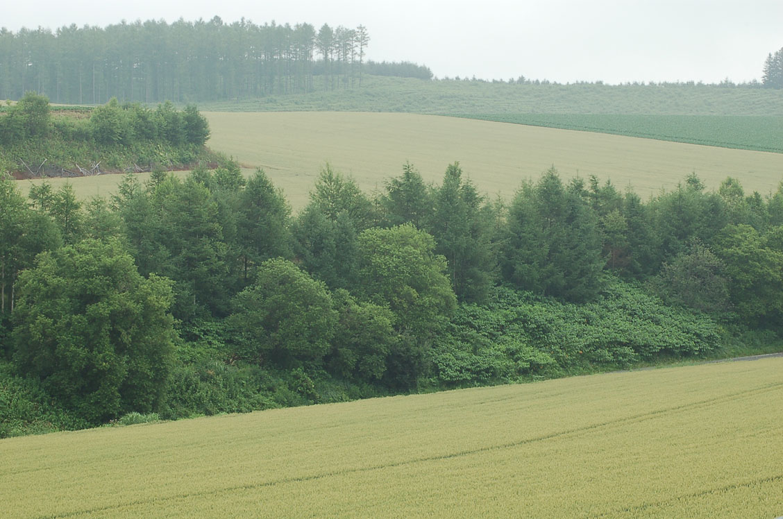 b0142428_205114.jpg