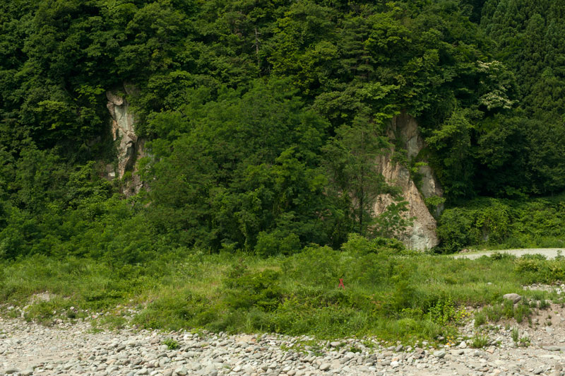 b0177233_5103845.jpg