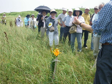 グループでの海辺の植物観察_a0123836_18232232.jpg