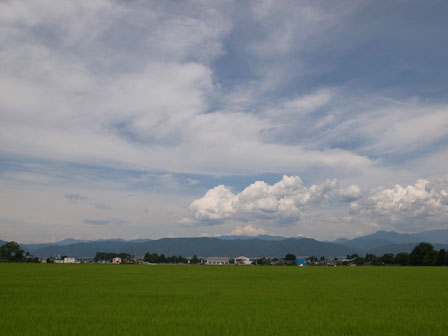 季節感_a0014840_225371.jpg