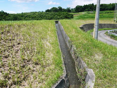 菊池水源棚田米 ここにも水害の爪あとが・・・_a0254656_161031100.jpg