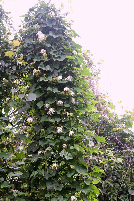 d0244960_2110253.jpg