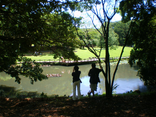 滝野川探検隊 in 根岸森林公園&根岸競馬場跡_b0056570_1244761.jpg