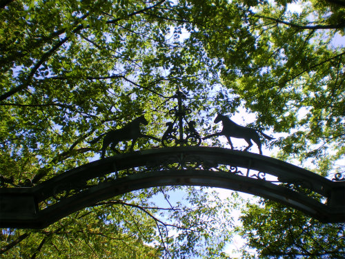 滝野川探検隊 in 根岸森林公園&根岸競馬場跡_b0056570_1275139.jpg