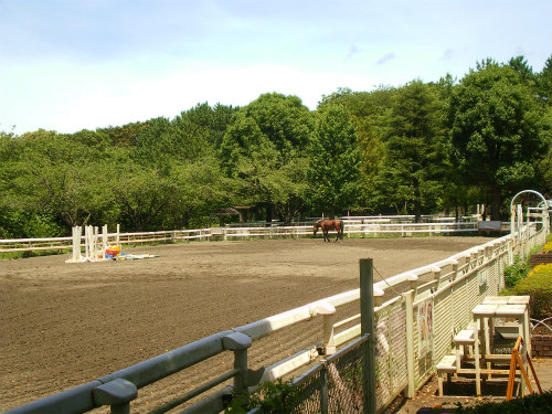 滝野川探検隊 in 根岸森林公園&根岸競馬場跡_b0056570_128553.jpg