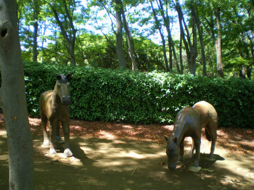 滝野川探検隊 in 根岸森林公園&根岸競馬場跡_b0056570_1591659.jpg