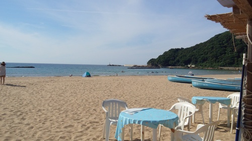 海デビューでちゅ(^^♪_a0200771_1740177.jpg