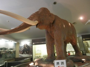 f0204072_73425.jpg