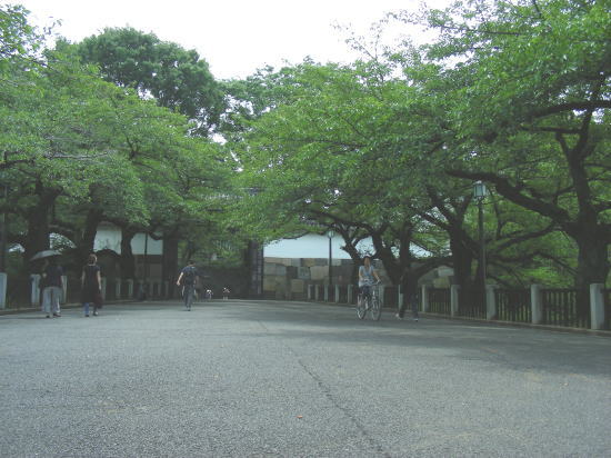 華の都 東京 日本武道館_a0019082_2359077.jpg