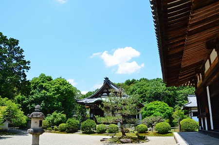 榊　莫山さん　秋篠寺によせて_c0229483_2332959.jpg