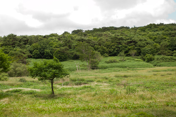 7月17日　梅雨明け_c0168986_924224.jpg