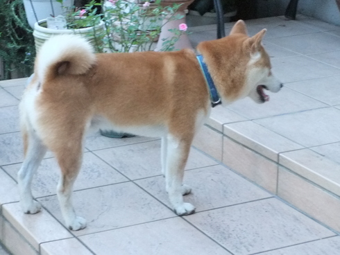 b0230589_8433371.jpg