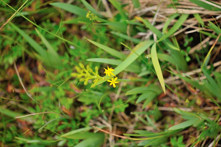 b0217090_22532810.jpg