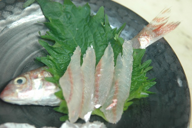 ヒメジ_d0268290_8142870.jpg