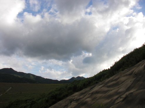 夢_e0216090_22461088.jpg