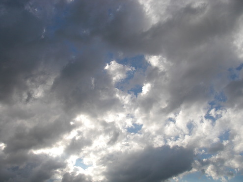 夢_e0216090_2331619.jpg