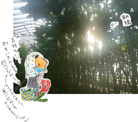 f0236291_11253360.gif