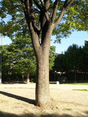e0204795_1812710.jpg