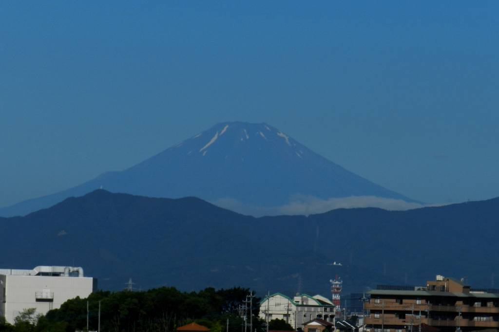 モズがオニヤンマを/蓮から飛び出し/梅雨明けの富士山/昨夜の天の川_b0024798_14434559.jpg