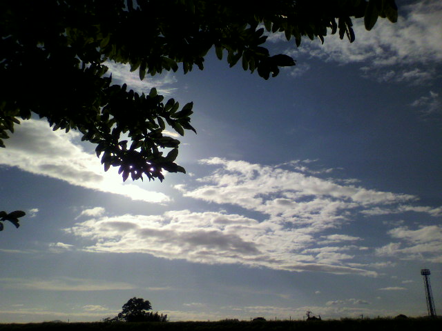 f0143299_11315022.jpg