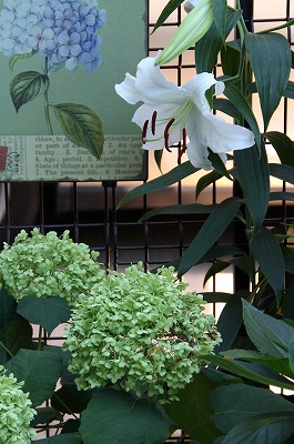 a0123003_168186.jpg