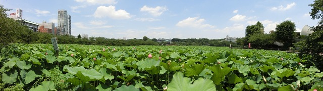 b0190603_14294620.jpg