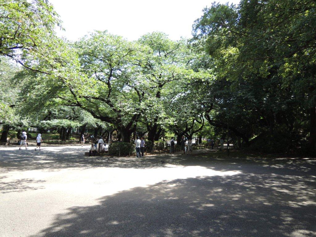 b0176010_1082810.jpg