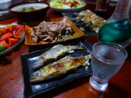 2012 魚野川釣行！　鮎!?_a0236914_10131573.jpg