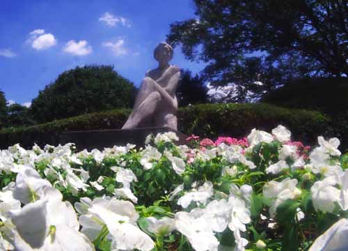 白い花壇　（7月１９日　神代植物公園にて）_a0023315_22294811.jpg