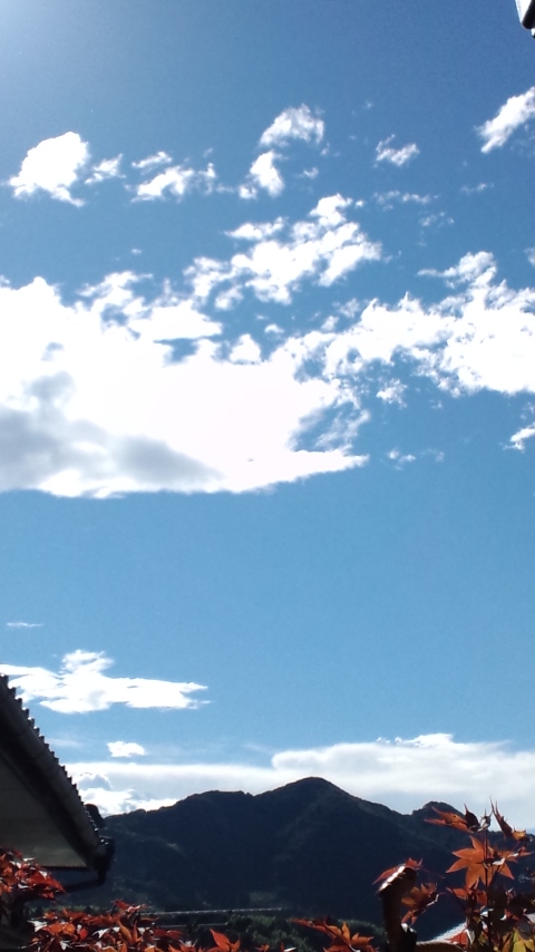 f0015517_13278.jpg